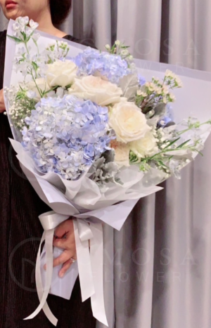Hydrangea